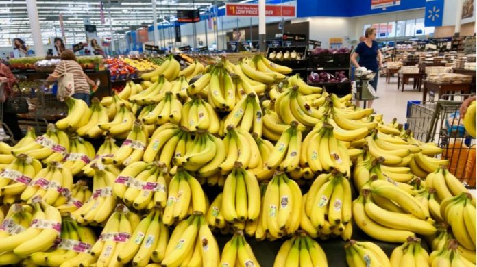 IMPORTANCIA. A pesar del mal inicio de año, el banano sigue siendo el principal producto de exportación.