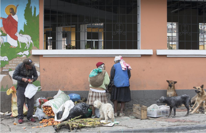 CIFRA. Seis de cada 10 adultos mayores dependen económicamente de sus familiares, en Ecuador. (Foto: Gianna Benalcázar/ CCQ)