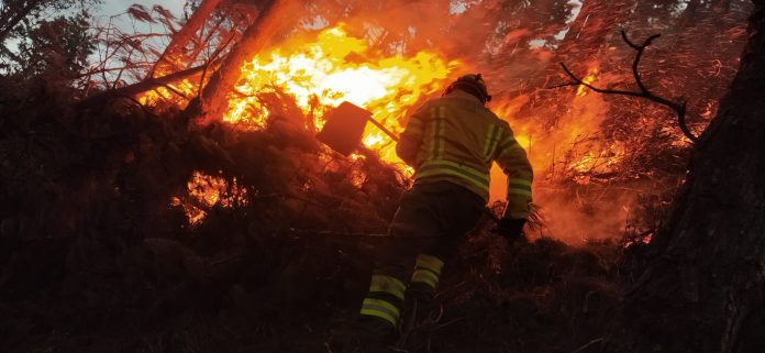 En Loja los incendios forestales ocurren de manera esporádica