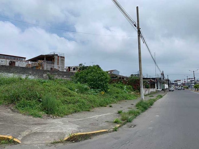 SITUACIÓN. En la urbanización Dilpo existe un lote sin cerramiento y con maleza.