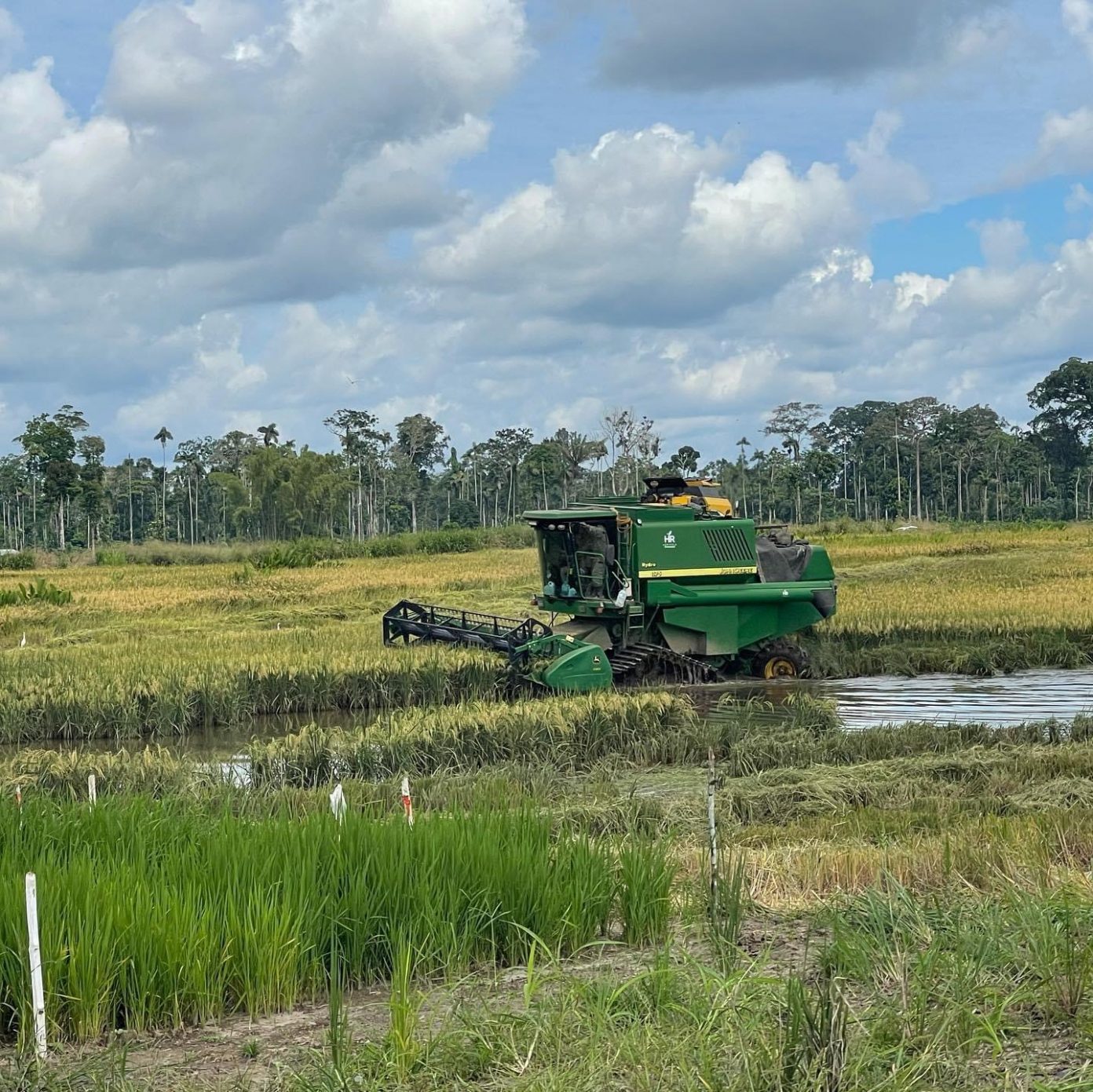 Créditos llegan a menos del 10% de los pequeños y medianos productores agrícolas