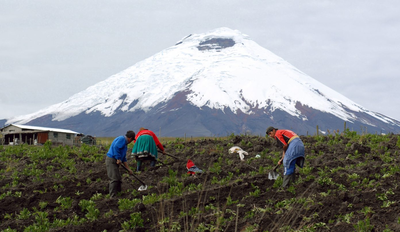 Sector rural dice que más de $6.600 millones están en riesgo