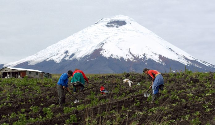 El campo continúa estando fuera de las prioridades públicas.