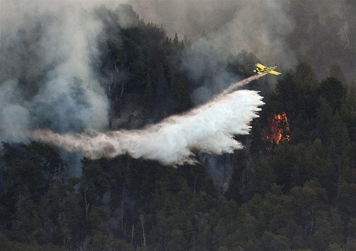 Hasta el momento, los incendios forestales han quemado más de 700 mil hectáreas en la provincia de Corrientes.