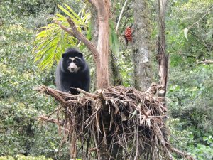 The nature of Imbabura and Carchi is an option for the holiday