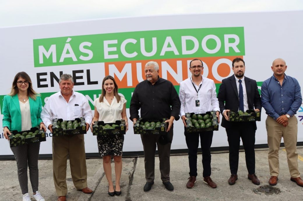 Más de 41 toneladas de aguacate se han exportado a Europa en 2022