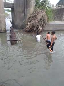 Building retaining walls on the banks of the canal can cause serious damage to the water system.